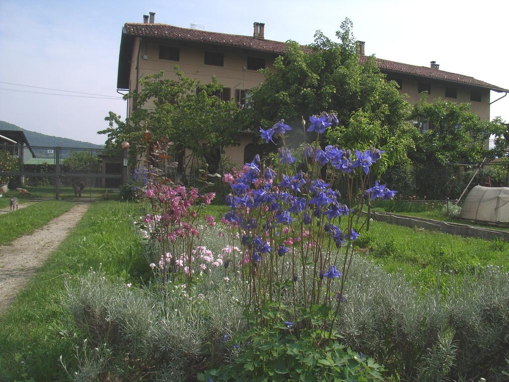 Bed and Breakfast U Tej Cumiana Exterior foto